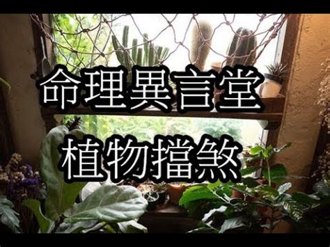 大門外擋煞植物